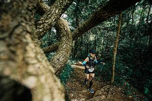 BIB: 
                            <button type="button" onclick="openModal(25704438)" class="btn btn-primary btn-sm float-right btn-popup" data-toggle="modal" data-target=".modal-high-quality">
                        <i class="fas fa-shopping-cart"></i> Add to Cart
                    </button>
                                            <button type="button" onclick="isThisMe(25704438, true)" class="btn btn-success btn-sm float-right btn-popup btn-isme hidden" data-toggle="tooltip" data-placement="bottom" title="นี่คือรูปของคุณใช่ไหม คลิกที่นี่เพื่อเอาเข้าอัลบั้ม">
                        <i class="fas fa-plus"></i> Add to album
                    </button>
                    <button type="button" onclick="isThisMe(25704438, false)" class="btn btn-warning btn-sm float-right btn-popup btn-isnotme hidden">
                        <i class="fas fa-ban"></i> Remove from album
                    </button>